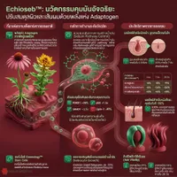 EchiosebInfo