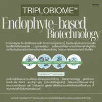 Endophyte1