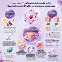 LingostemInfo