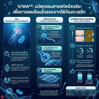 VIWAInfo
