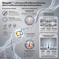 WaspilkInfo