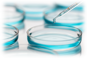 StemcellCover4