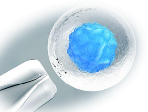 StemcellCover1-1