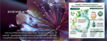 IntensilkBannerInfo