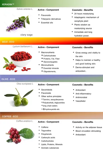 Organic-2