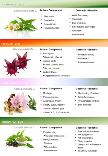 Organic-6
