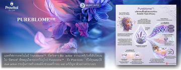 PureblomeBannerInfo