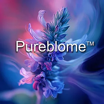 PureblomeSmall