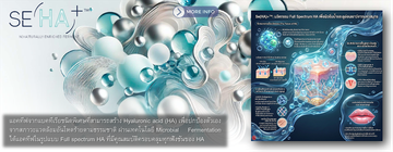 SE(HA)BannerInfo