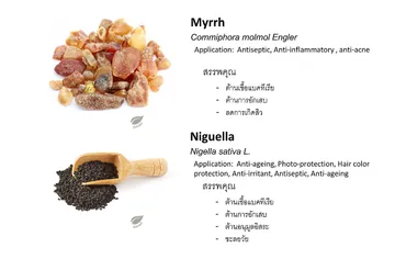 ThaiHerb(10)