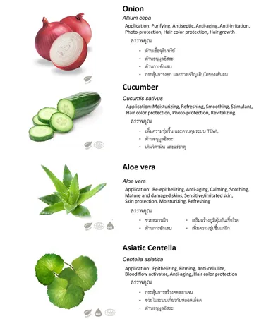 ThaiHerb(2)