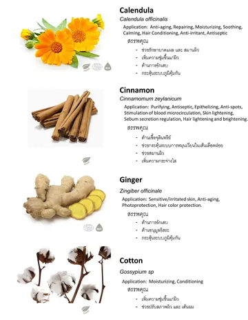 ThaiHerb(3)