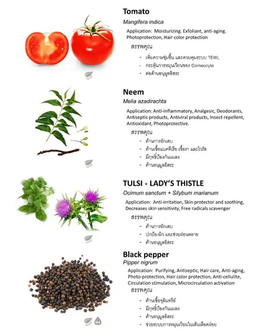 ThaiHerb(6)