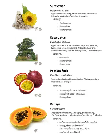 ThaiHerb(7)