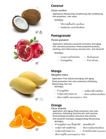 ThaiHerb(8)