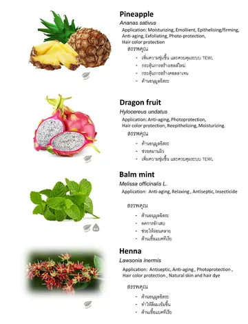 ThaiHerb(9)