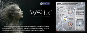 WaspilkBanner