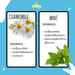 HerbalOral(2)