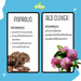HerbalOral(3)
