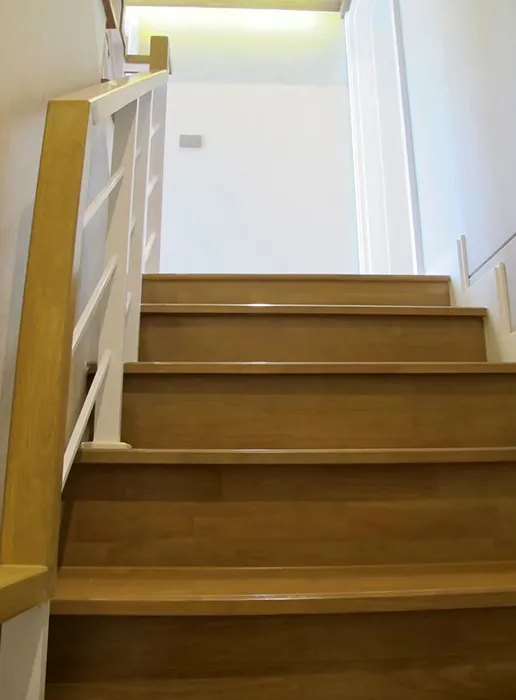 thaistair10