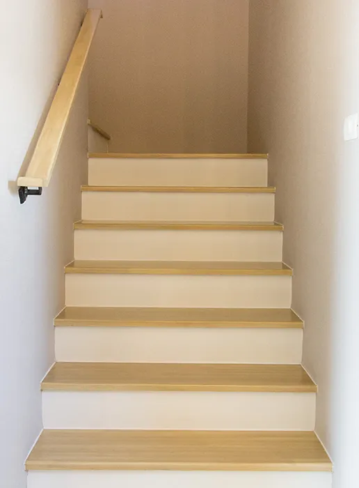 thaistair2