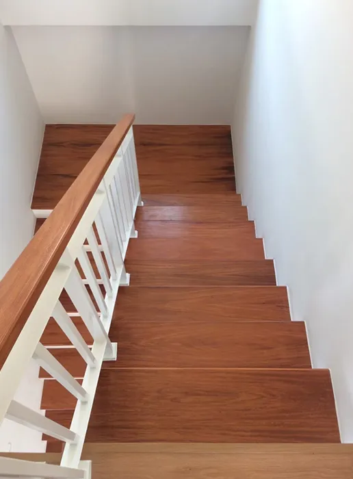 thaistair2