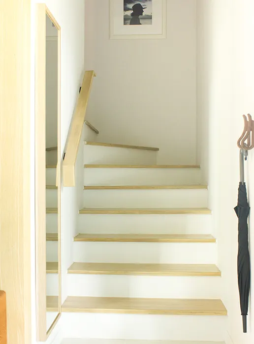 thaistair3