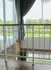 thaistair28