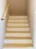 thaistair2