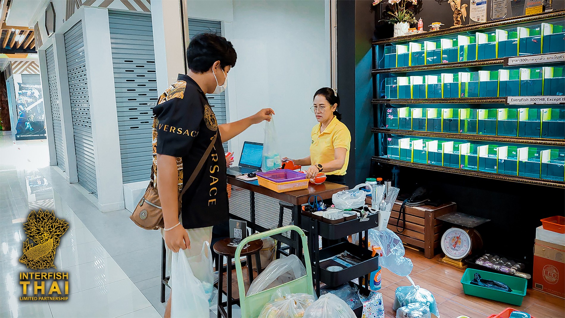 INTERNATIONAL SERVICE