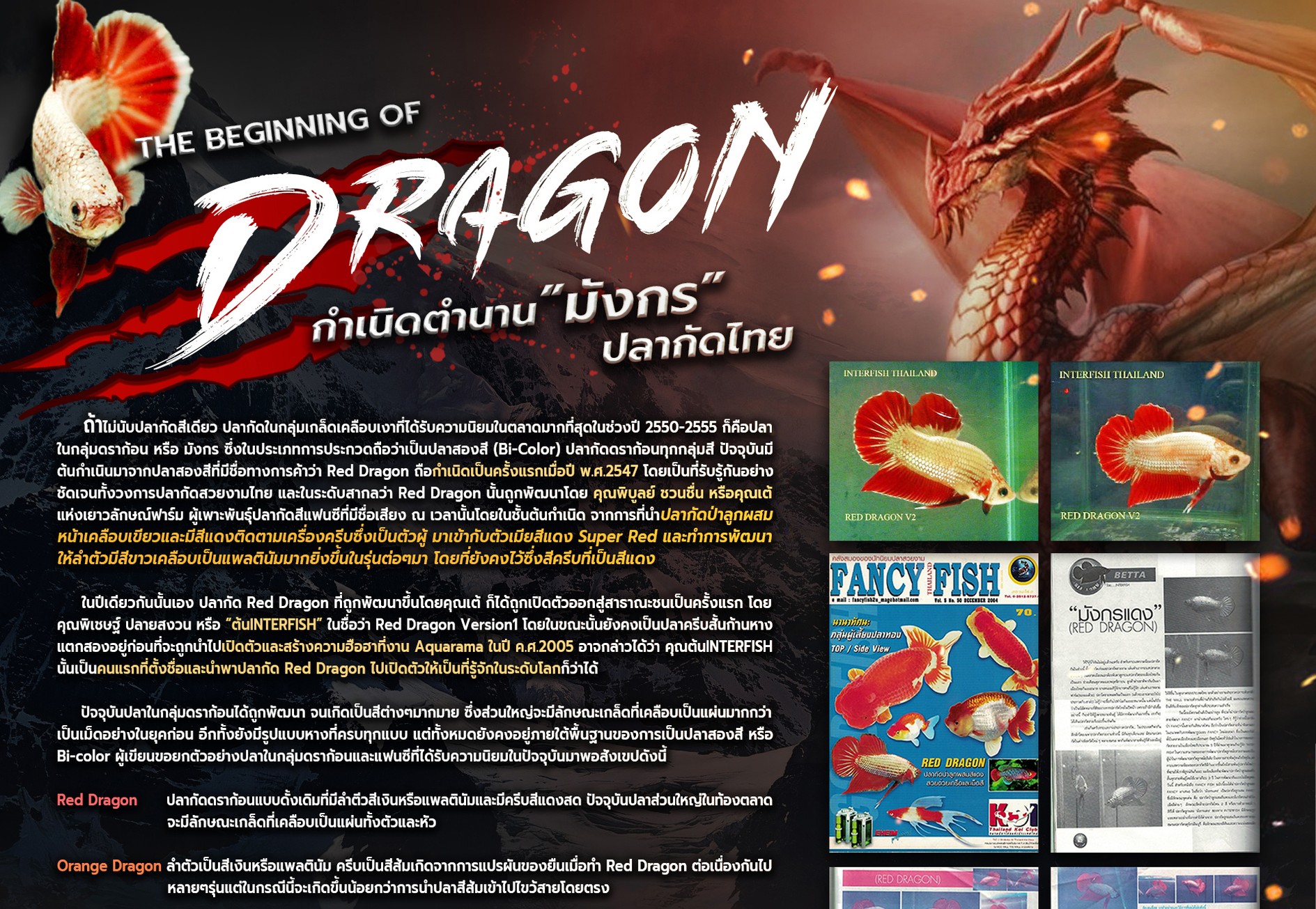 Banner-dragon1