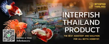 Banner-INTERFISH-THAILAND