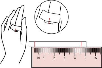 Ringsize2
