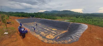 แผ่นHDPE