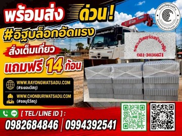 382840cusgbf1217983019069