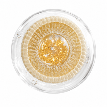 EncapsulationTechnology