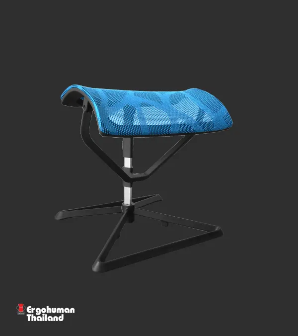 Ergonomic Accessories LEG