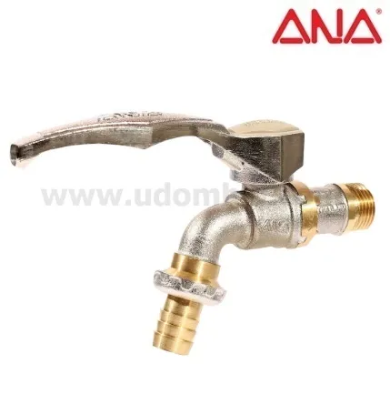 -ANA-A131-2570-1