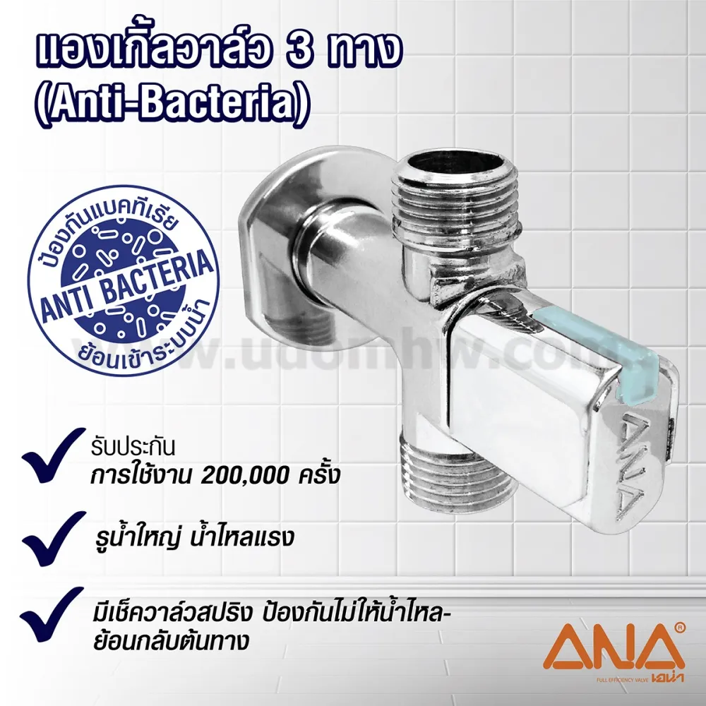 -ANA-A131-2580