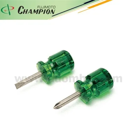 Champion500F1
