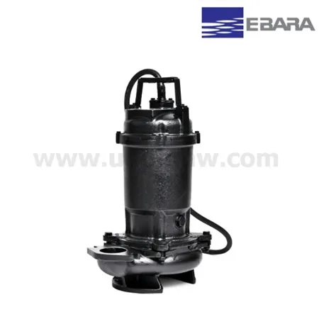 EBARA50DVS5