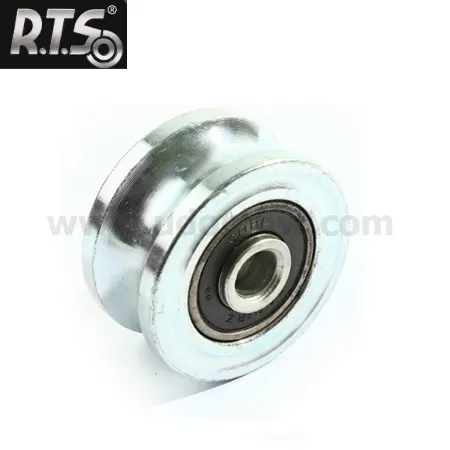 RTSU1