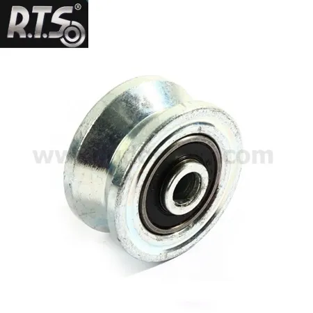 RTSV1