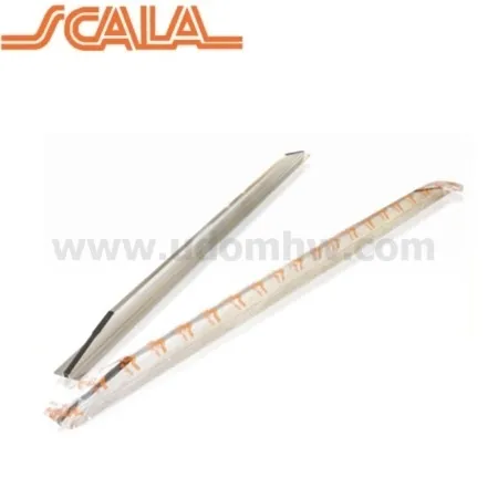 Scala1