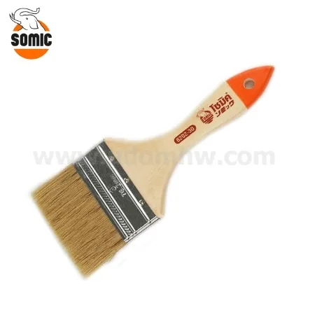SomicPlus1