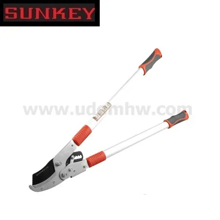 SunkeyS-10881