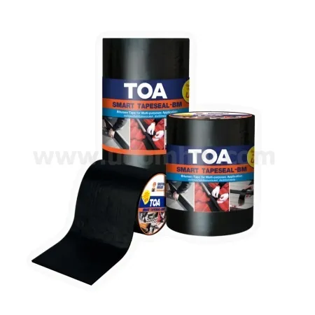 TOAsmart1