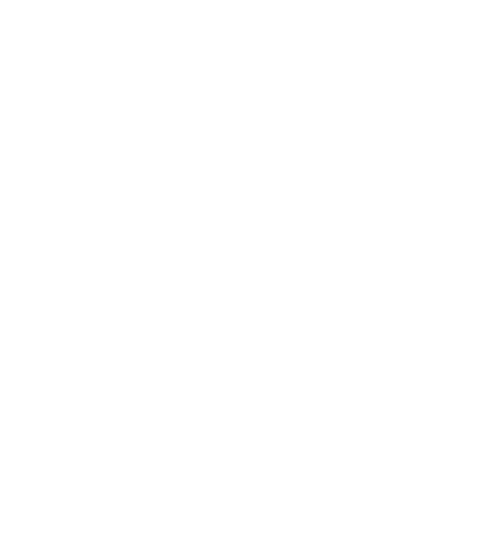 phone(2)