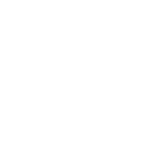 icon-ser5