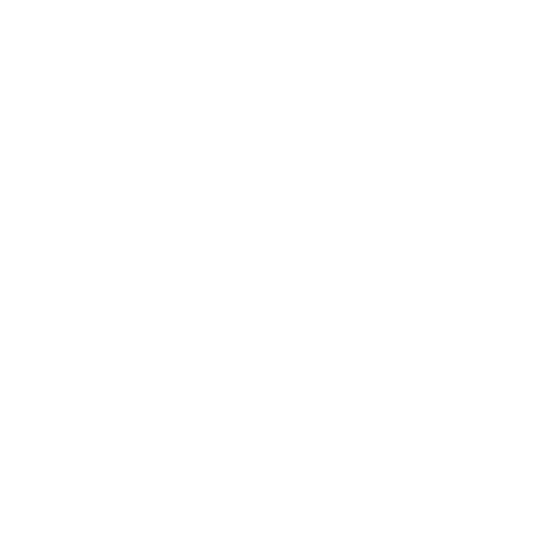 icon-ser7